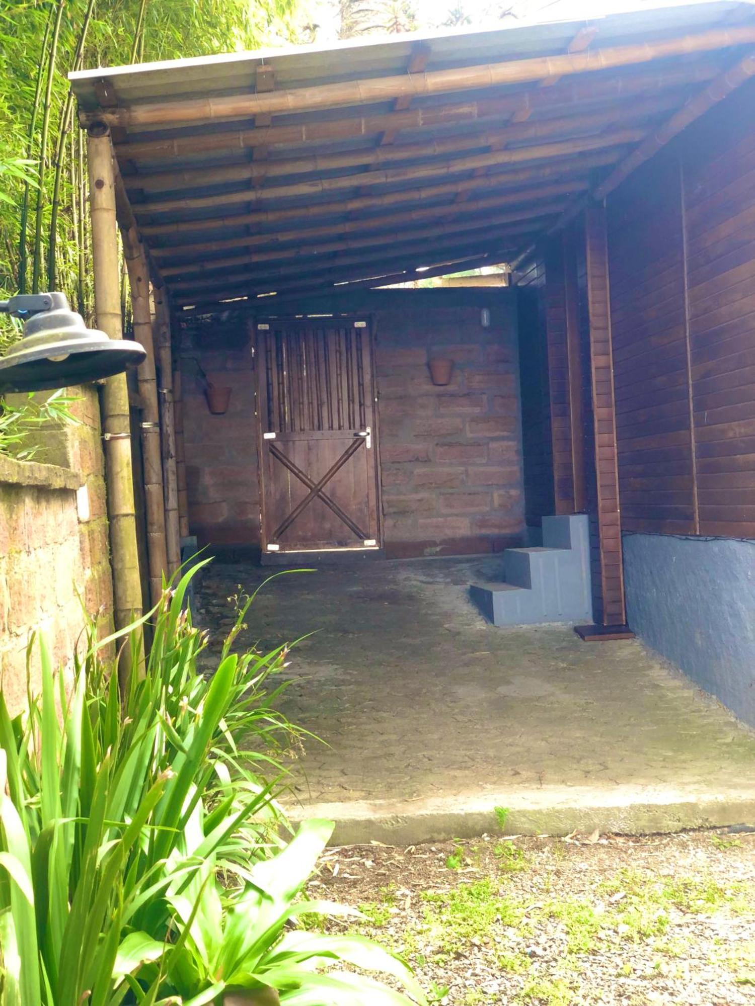 Suites 224 Canela Rum bild
